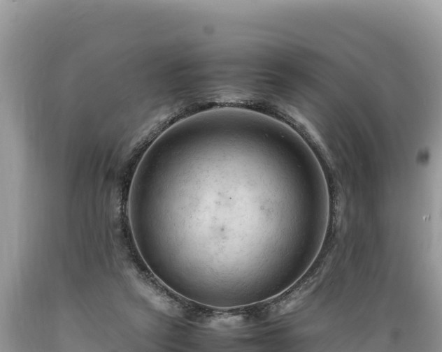 X0000089350257200706221144