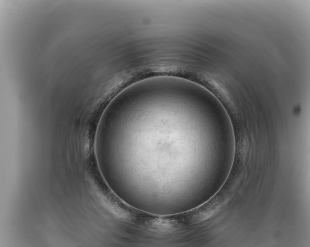 X0000089350261200706221144