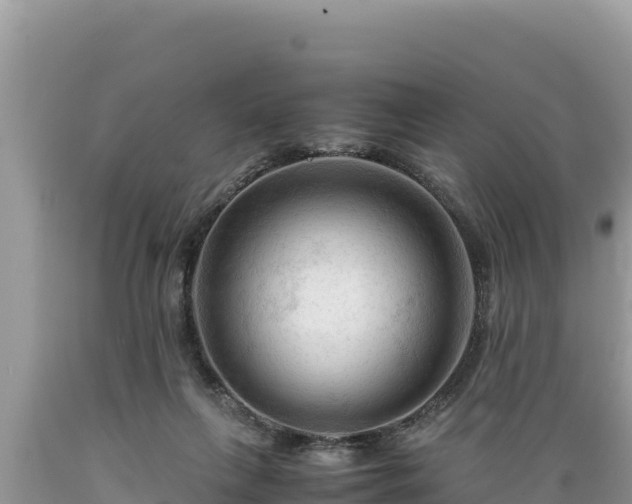 X0000089350263200706221144