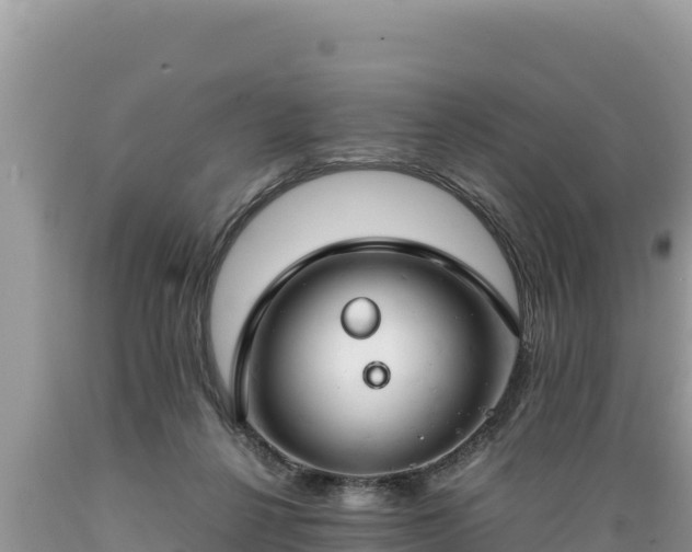 X0000089350264200706221144