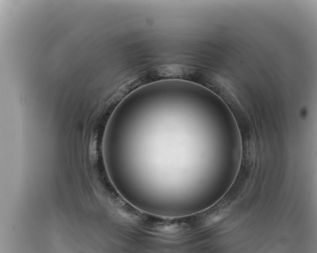 X0000089350267200706221144