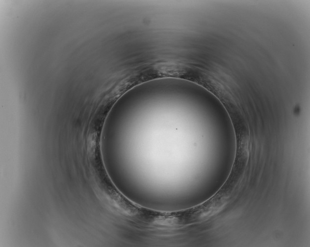 X0000089350271200706221145