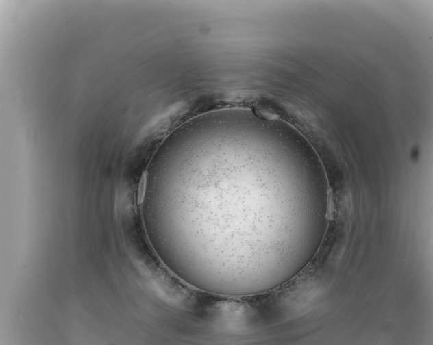 X0000089350272200706221145