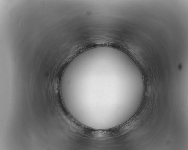 X0000089350273200706221145