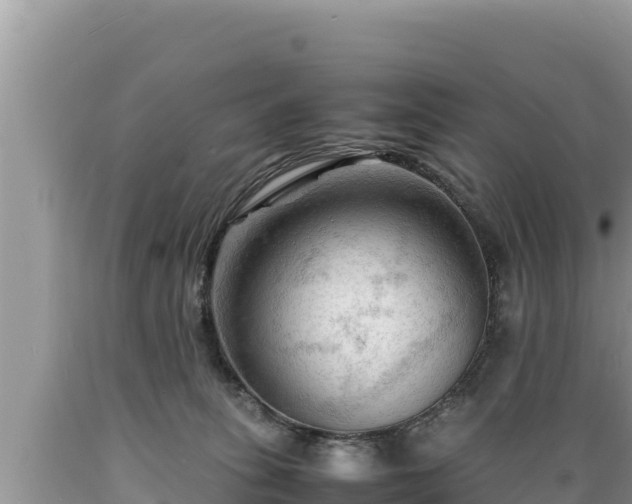 X0000089350275200706221145