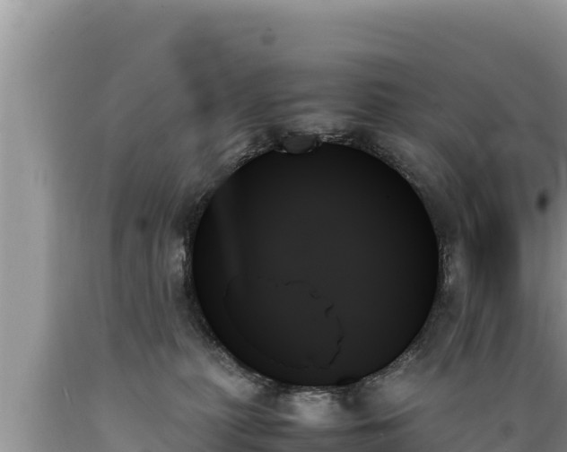 X0000089350279200706221145