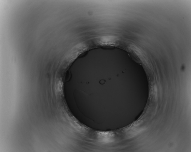 X0000089350281200706221145