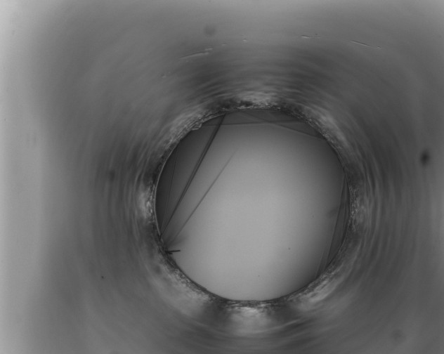 X0000089350285200706221145