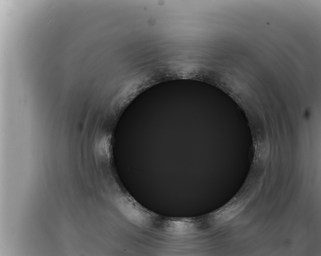 X0000089350286200706221145