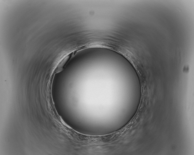 X0000089350289200706221144