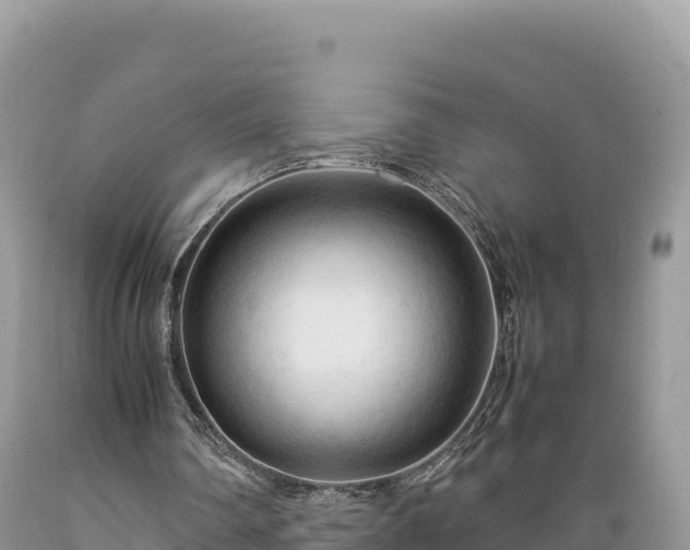 X0000089350290200706221144