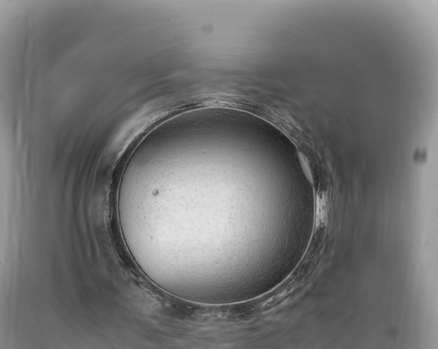 X0000089350291200706221144
