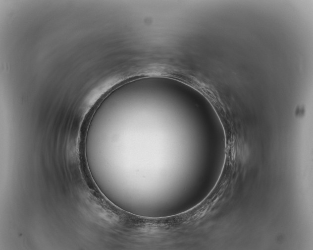 X0000089350292200706221144