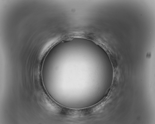 X0000089350293200706221144