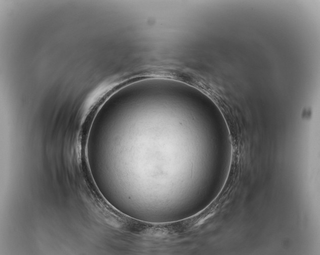 X0000089350294200706221144