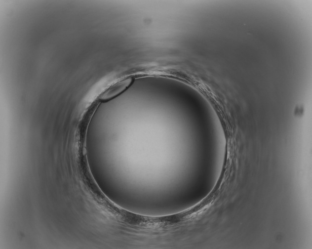 X0000089350295200706221144