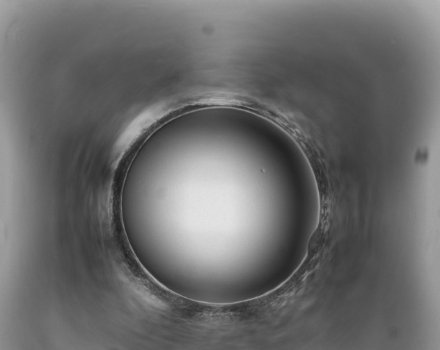 X0000089350296200706221144