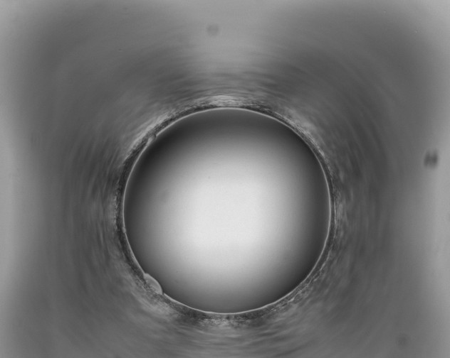 X0000089350297200706221144