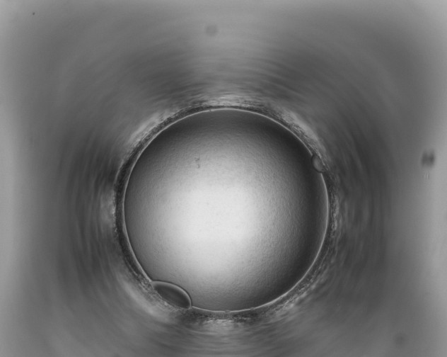 X0000089350298200706221144