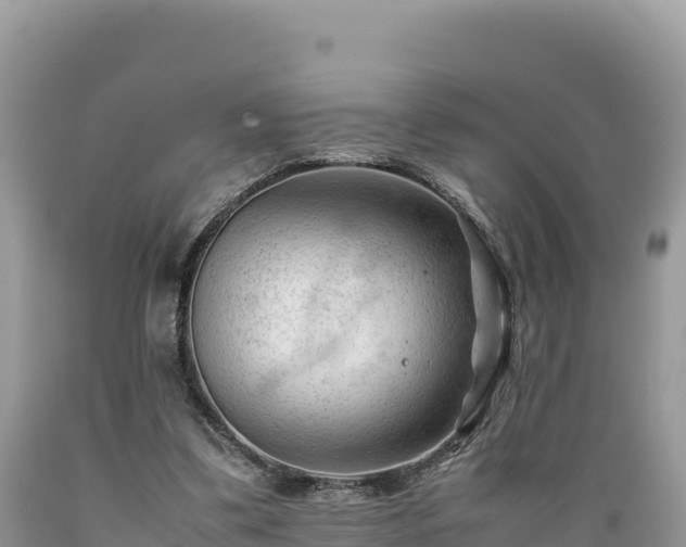 X0000089350299200706221144