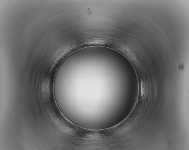 X0000089350300200706221144
