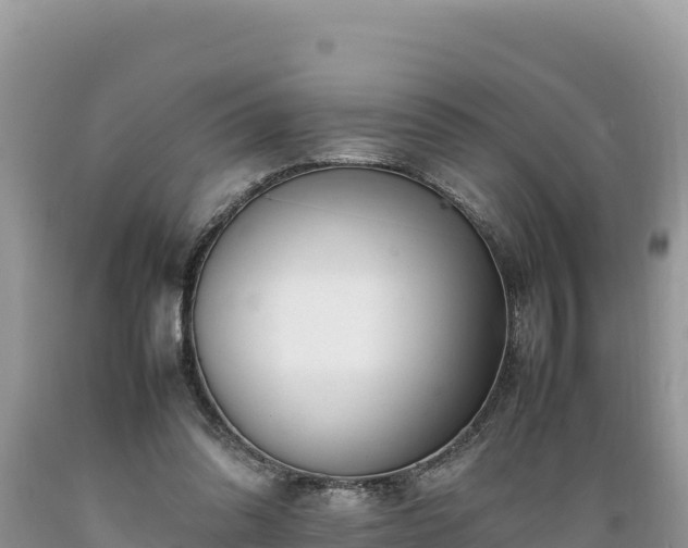 X0000089350302200706221144