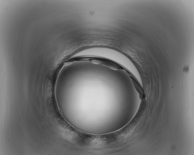 X0000089350303200706221144