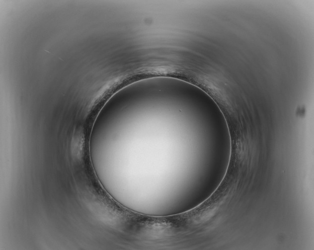 X0000089350304200706221144
