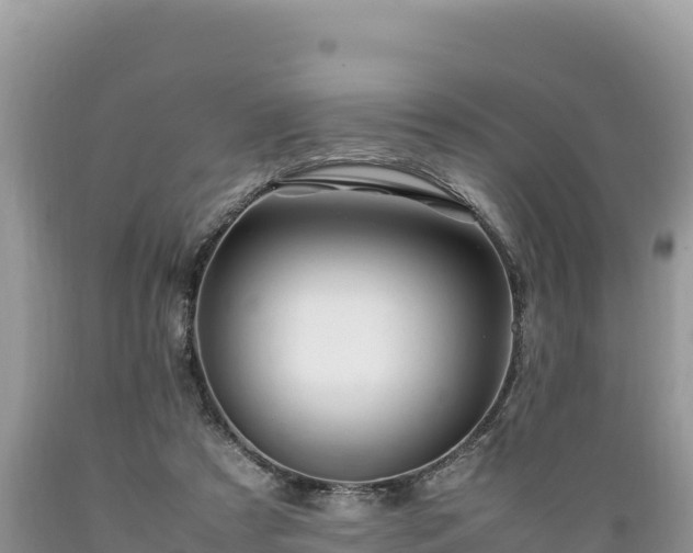 X0000089350305200706221144