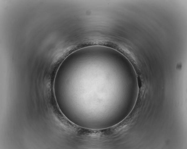 X0000089350306200706221144