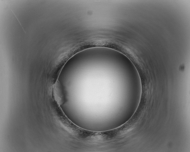 X0000089350307200706221144
