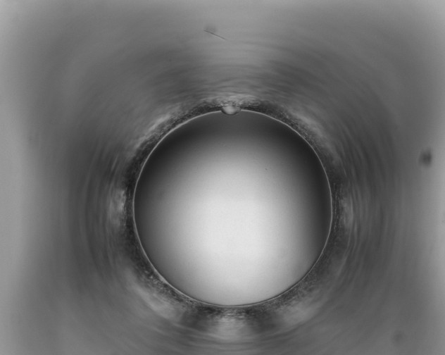 X0000089350308200706221144