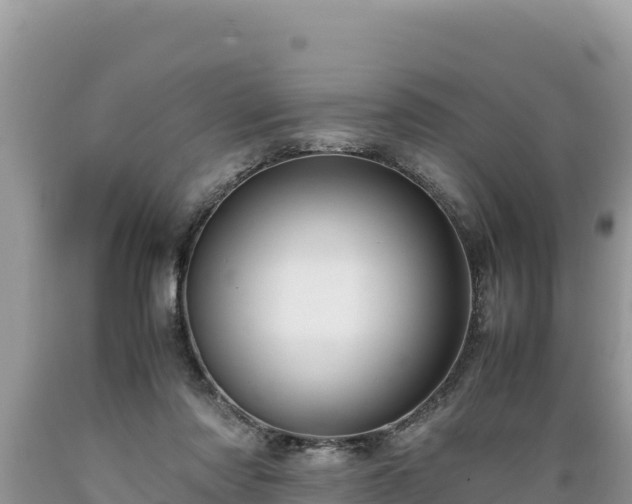 X0000089350310200706221144