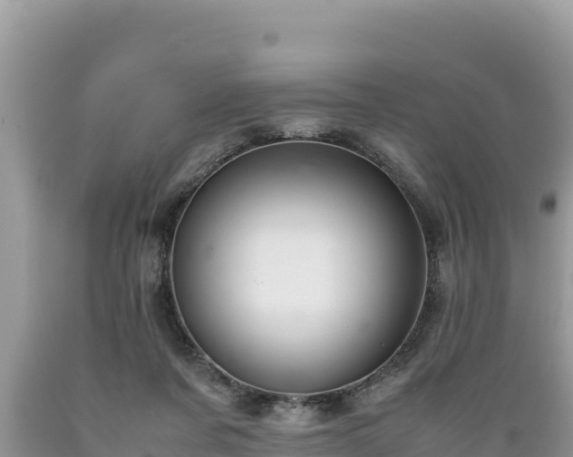 X0000089350311200706221144