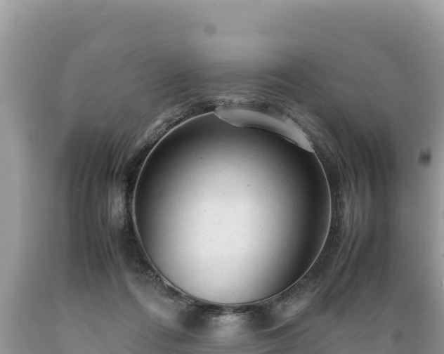 X0000089350312200706221144