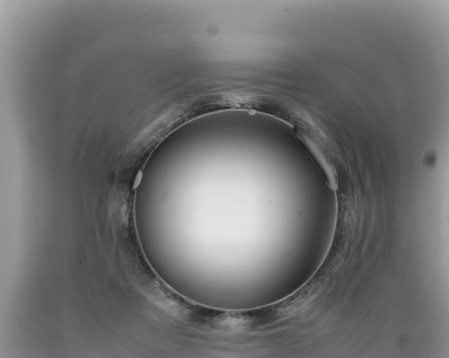 X0000089350313200706221144