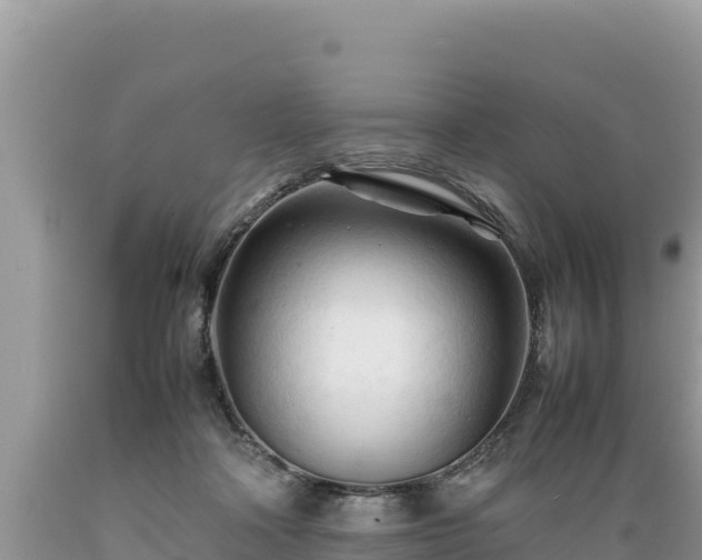 X0000089350314200706221144