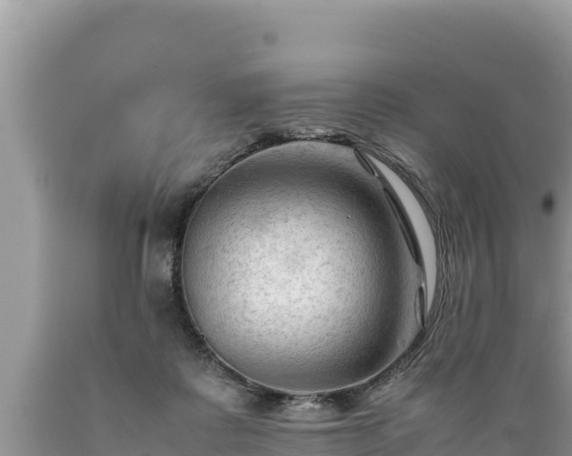 X0000089350315200706221144