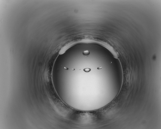 X0000089350316200706221144