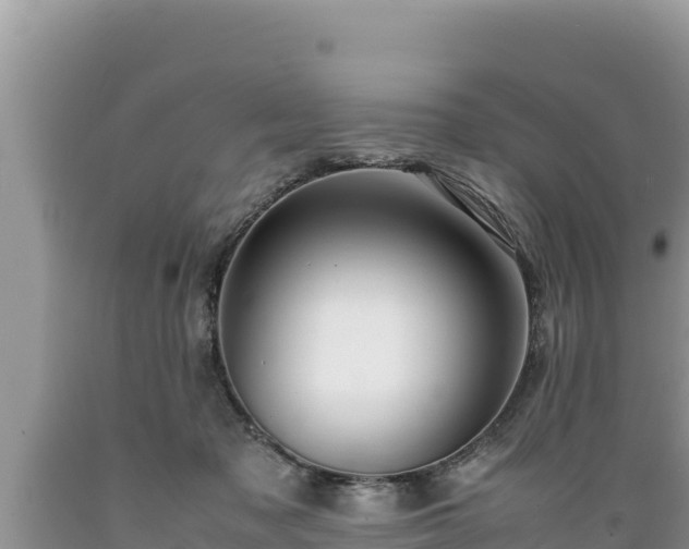 X0000089350317200706221144