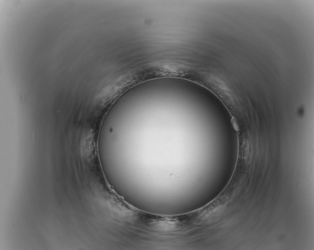 X0000089350318200706221144