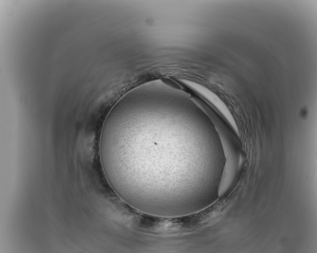X0000089350319200706221144