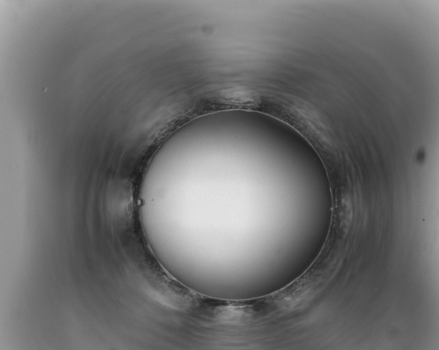 X0000089350320200706221144
