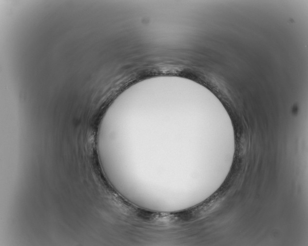 X0000089350321200706221144