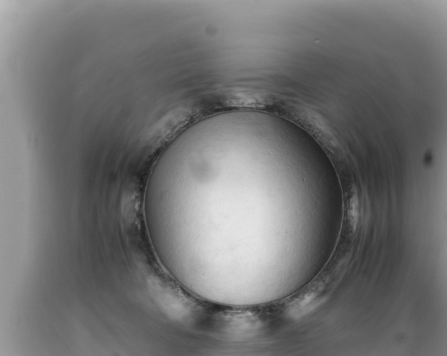 X0000089350322200706221144
