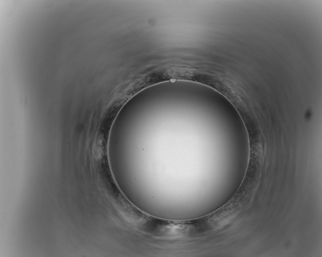 X0000089350323200706221144