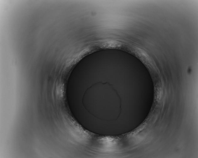 X0000089350326200706221144