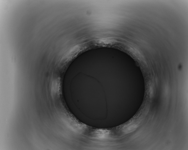 X0000089350328200706221144