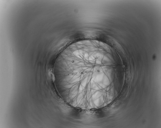 X0000089350329200706221144