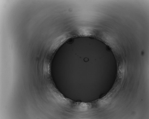 X0000089350330200706221144